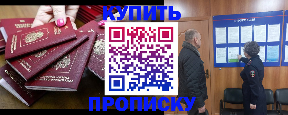 прописка штамп в Павловске