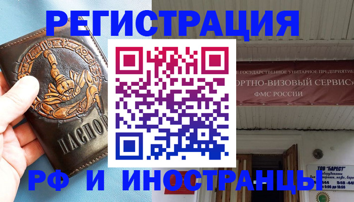 прописка поиск в Павловске